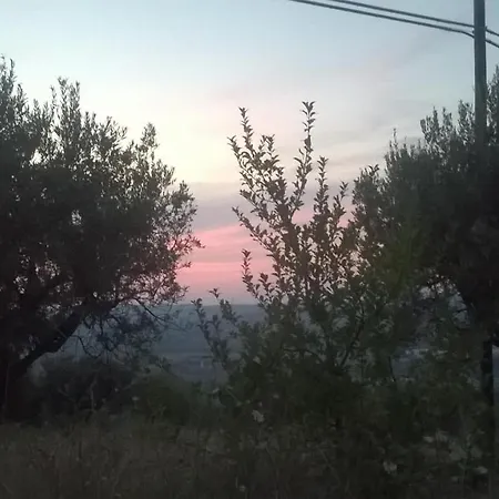Viola * Corropoli